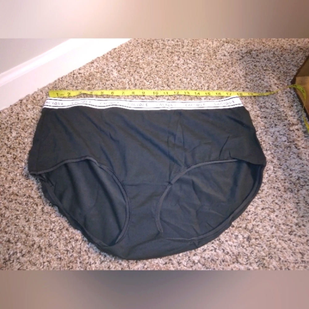 NWOT Black Cacique Panties Sz. 26/28